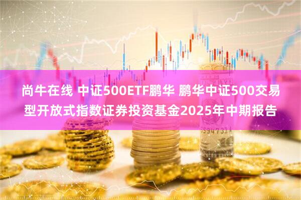 尚牛在线 中证500ETF鹏华 鹏华中证500交易型开放式指数证券投资基金2025年中期报告