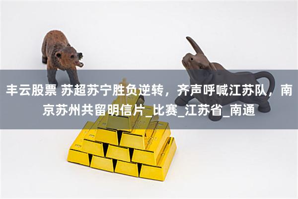 丰云股票 苏超苏宁胜负逆转，齐声呼喊江苏队，南京苏州共留明信片_比赛_江苏省_南通