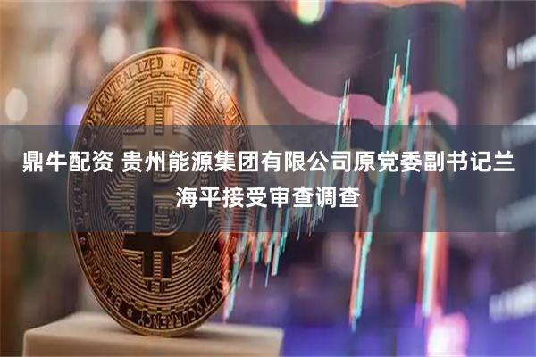 鼎牛配资 贵州能源集团有限公司原党委副书记兰海平接受审查调查