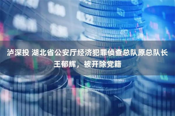 泸深投 湖北省公安厅经济犯罪侦查总队原总队长王郁辉，被开除党籍