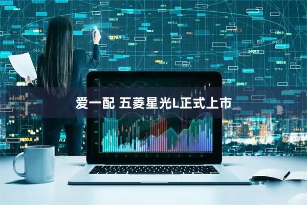 爱一配 五菱星光L正式上市